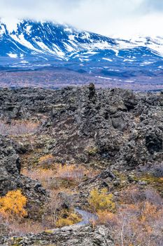 Vast lava field with snow covered mountains