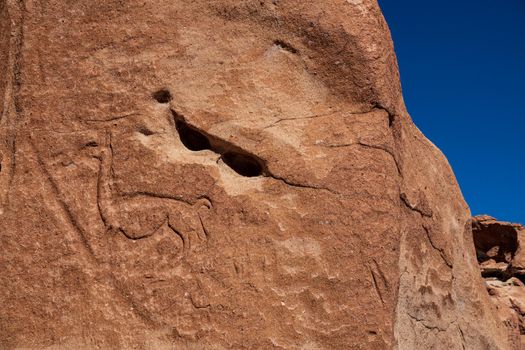 Petroglyphs at Yerbas buenas in Atacama desert