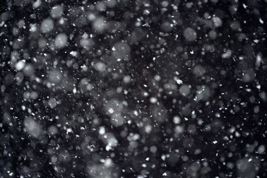 Snowfall on black background. Snowfall in the night sky, real snowflakes fall in the night