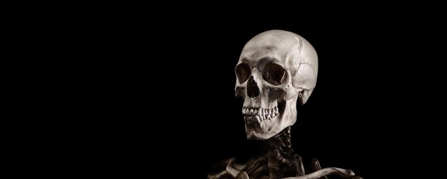 Skeleton of a man on a black background. A real human skeleton