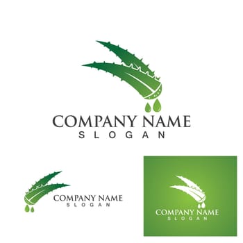 Aloe vera logo and symbol vector