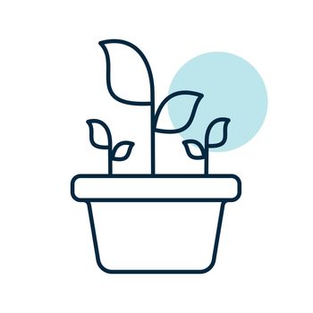 Plant in the pot vector icon
