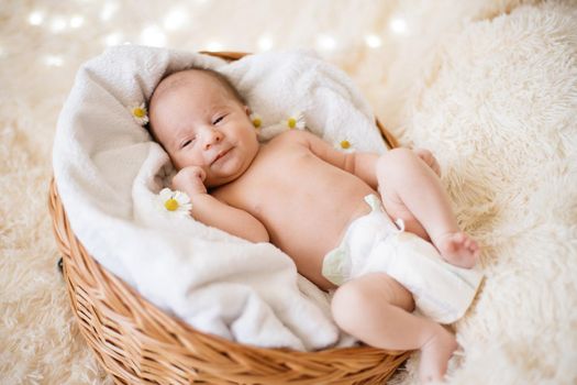 newborn baby wakes up in a cozy baby basket.