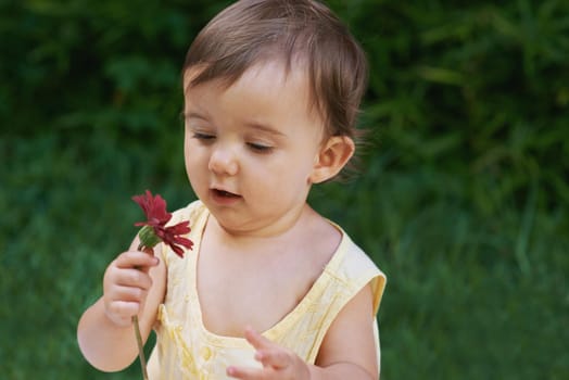 Curious about nature. A sweet baby girl looking at a flower.