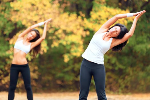 Shot of two women exercising together in a park.