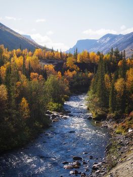 River in the Khibiny mountains in autumn. Autumn landscape