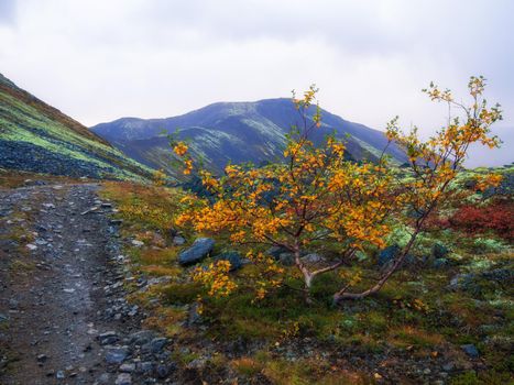 Dirt gravel road with mountains in the background. Autumn mountains of Khibiny