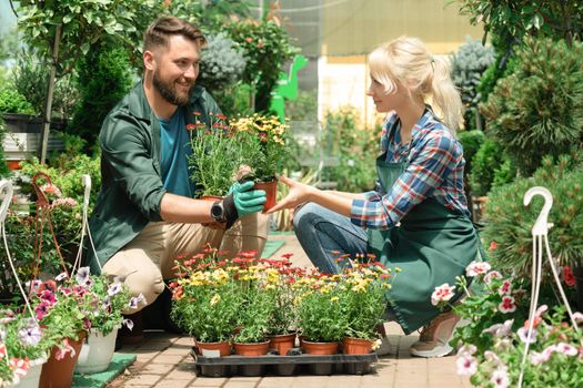 Gardeners working with flowers in garden center
