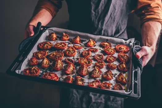 Baking Sheet with Oven Baked Tomatoes with Oil and Thyme in a Hands