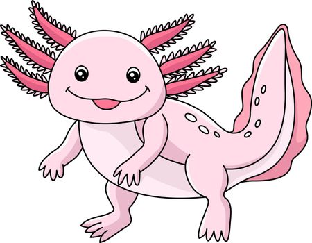 Axolotl Cartoon Colored Clipart Illustration