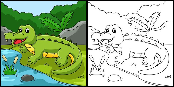 Crocodile Coloring Page Colored Illustration