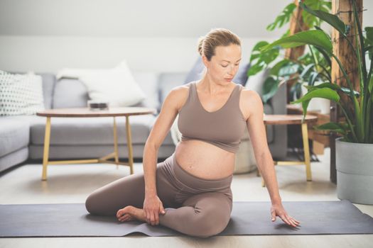 Young beautiful pregnant woman training pilates at home in her living room. Healthy lifestyle and active pregnancy and motherhood concept.