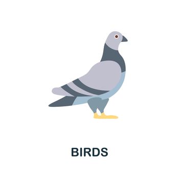 Birds flat icon. Colored element sign from nature collection. Flat Birds icon sign for web design, infographics and more.