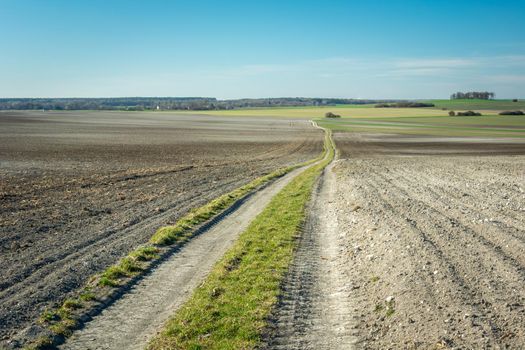 A long dirt road through a plowed field