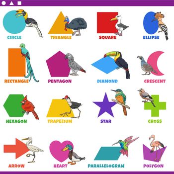 basic geometric shapes with comic birds characters set