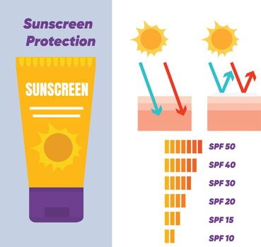 vector infographic of Sun protection,skin care concept,sunscreen, sunblock. SPF