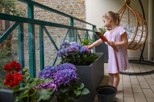 Girl plants purple hydrangea on the balcony
