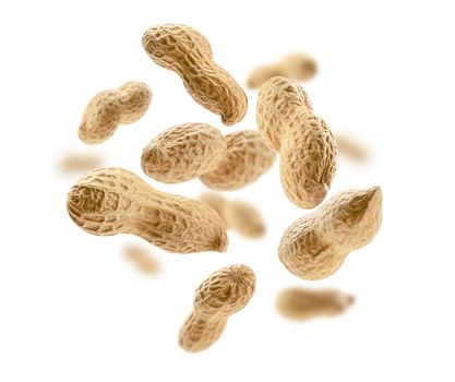 Peanuts in the shell levitate on a white background