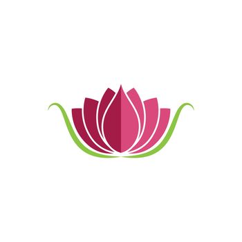 beauty lotus flower vector icon design