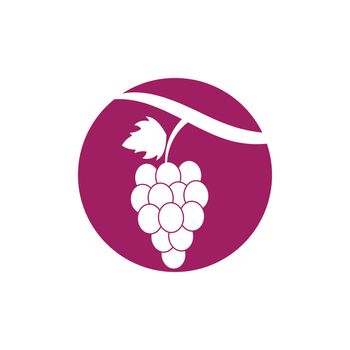 Grapes logo template vector icon illustration