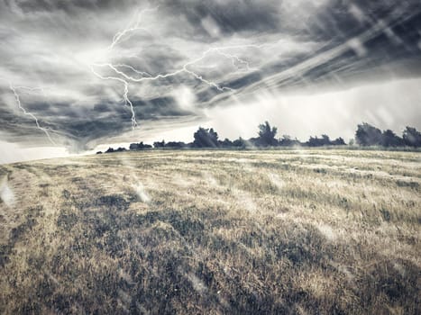 Nature unleashes itself. Illustrated landscape of a field under a fierce storm.