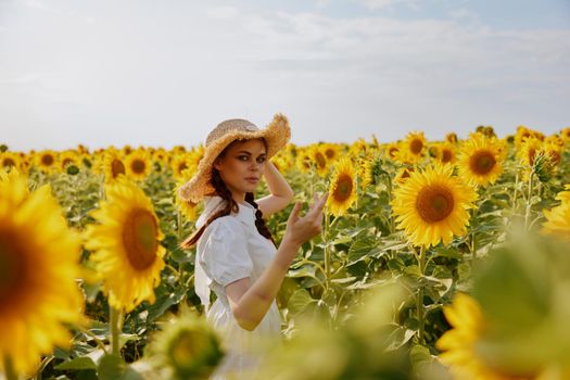woman with two pigtails In a field with blooming sunflowers landscape. High quality photo
