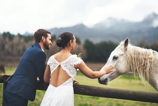 Lets ride off into the sunset. Shot of a happy newlywed young couple petting a horse outside on their wedding day.
