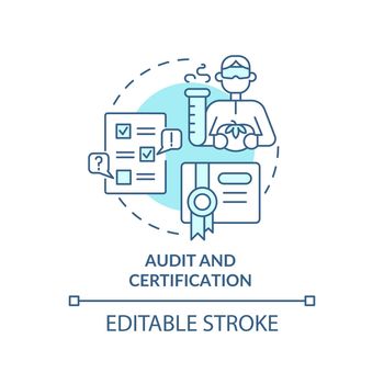 Audit and certification turquoise concept icon