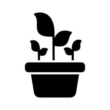 Plant in the pot vector glyph icon