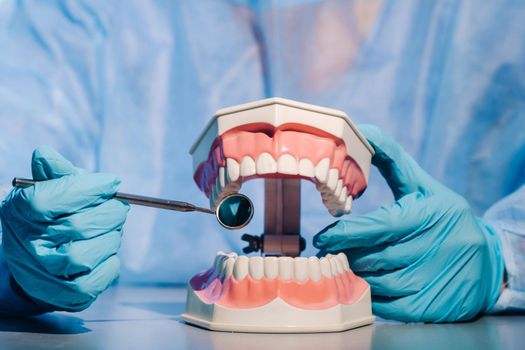 A dental doctor wearing blue gloves and a mask holds a dental model of the upper and lower jaws and a dental mirror