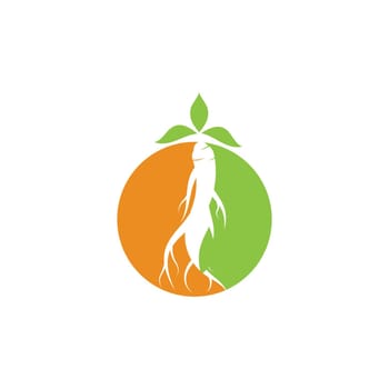Ginseng icon Vector Illustration design Logo template