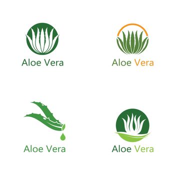 Set of Aloe vera logo vector illustration template