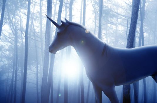 Heroic steed. Shot of a beautiful unicorn standing in a forest.