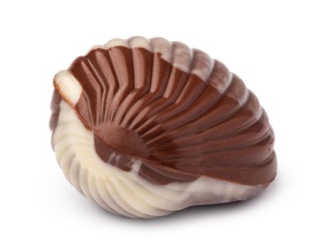 Chocolate sweets shaped as seashells isolated on white background