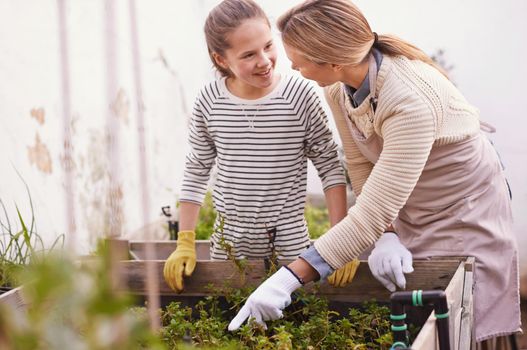 What shall we pick today. Shot of a mother and daughter gardening together in their backyard.