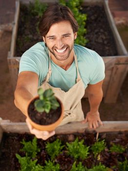 Save our earth - plant something today. A handsome man wearing an apron offering you a pot plant in his nursery.