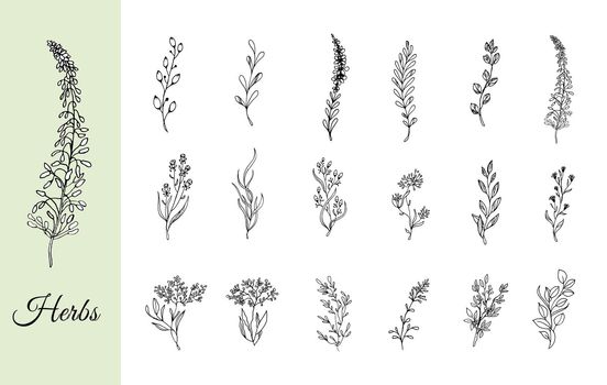 Set of flowers and branches isolated on white background. Handmade flower. Vector illustration. For greeting cards and wedding invitations, birthday, Valentine s Day, Mother s Day and others.