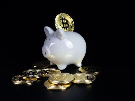 Bitcoin coins are on the back of a white piggy bank. on a black background