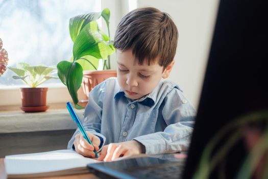 The boy is engaged in online education . Online training. Home schooling. A laptop. Child and technology. An article about the choice of education for a child.