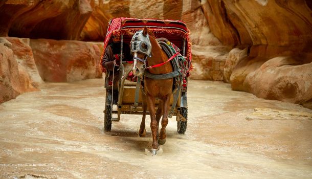 Tourists helped by Bedouins in Petra Jordan 20 February 2020