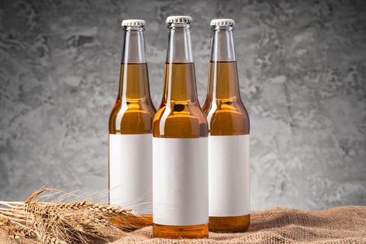 Beer bottle with blank label against gray textured background