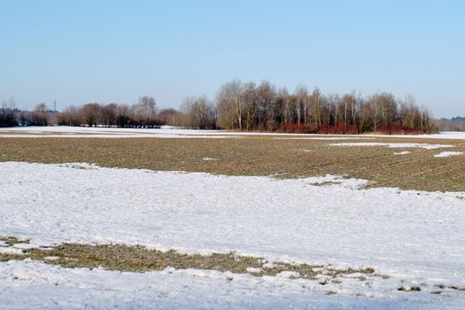 Spring field with melting snow before plowing