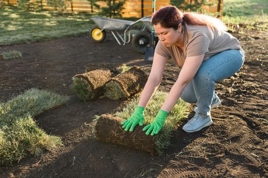 Young woman laying sod for new garden lawn - turf laying concept