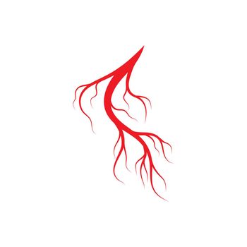 Human veins and arteries illustration design