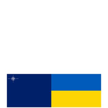 The colors of the flag and the graphic logo of NATO and the national colors of Ukraine.