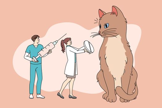 Tiny doctors cure cat giving medications