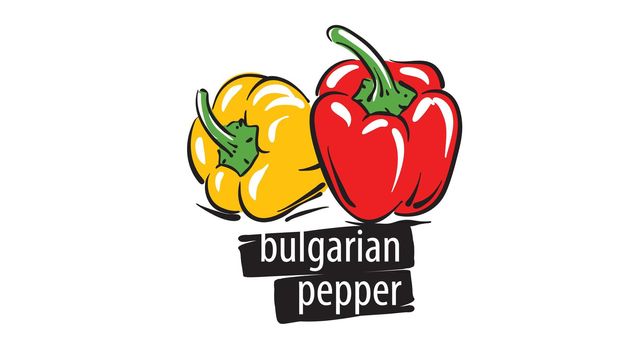 Drawn bulgarian pepper isolated on a white background
