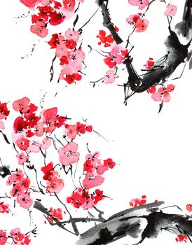 Watercolor blossom sakura
