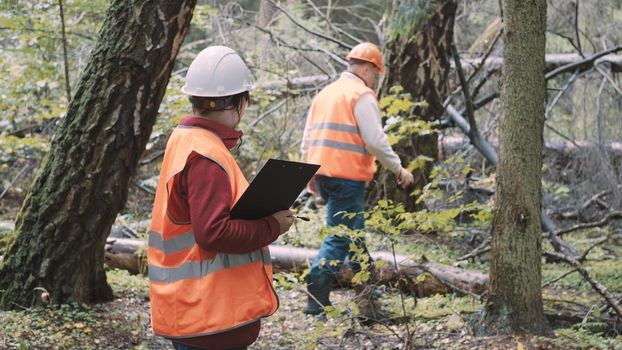 Environmentalists a woman and man draw up a penalty protocol for illegal logging