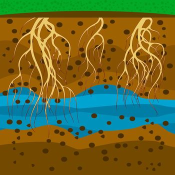 Roots in ground. Plant roots under soil. Soil layers.
